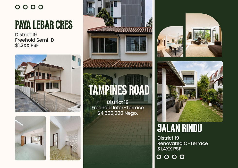 3 Landed Homes, 3 Different Opportunities in District 19