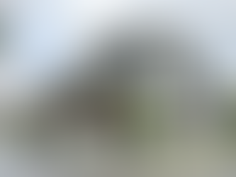 AS A FIRST TIME BUYER, SHOULD I BUY A LANDED HOME IN 2- OR 3- STOREY ZONE?