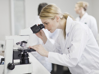 THE LINK BETWEEN ORGANISATIONAL CULTURE AND SCIENTIFIC METHOD