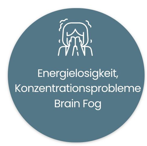energigigig
