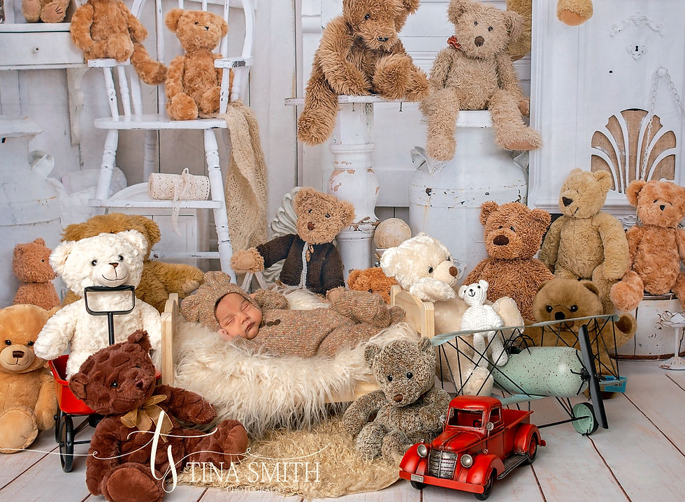 newborn photography niceville
