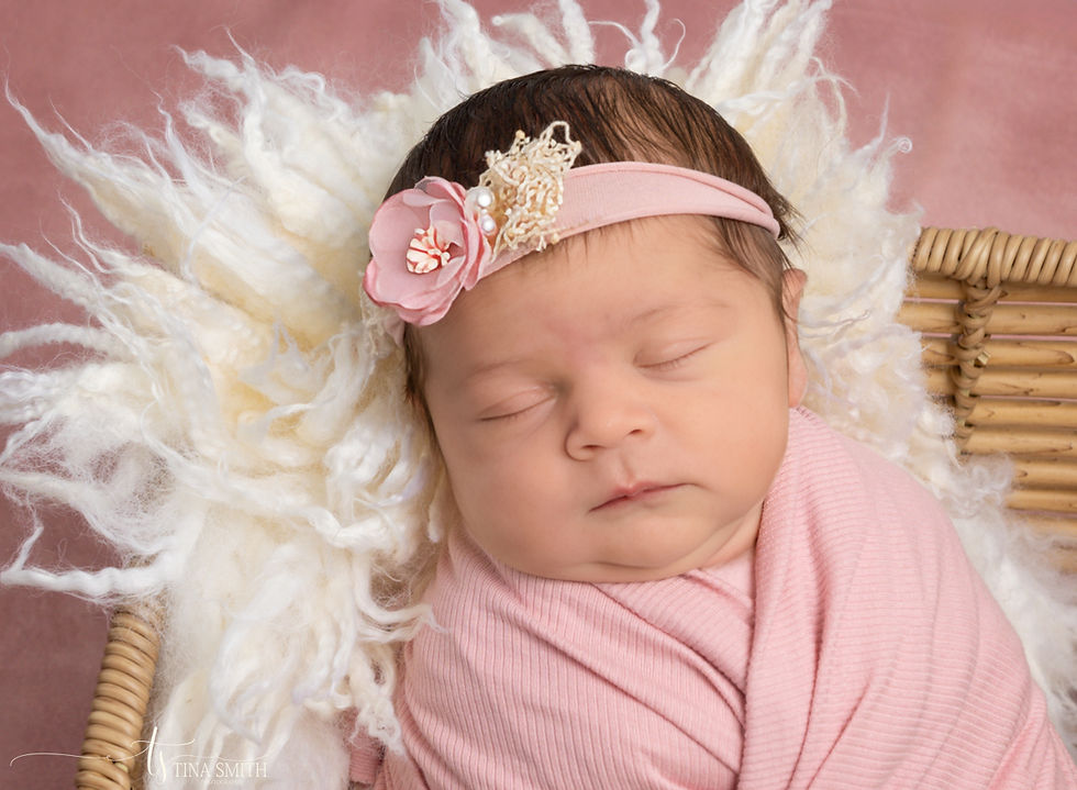 niceville newborn photographer