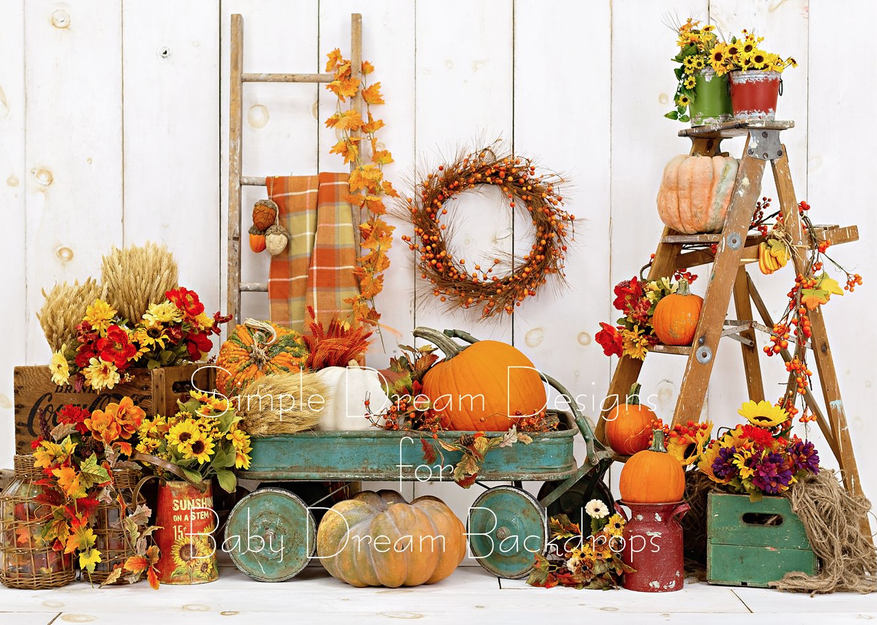 pumpkin wagon 6x8