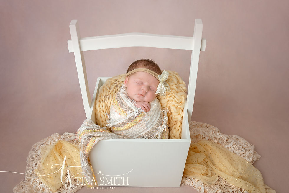 newborn photography niceville