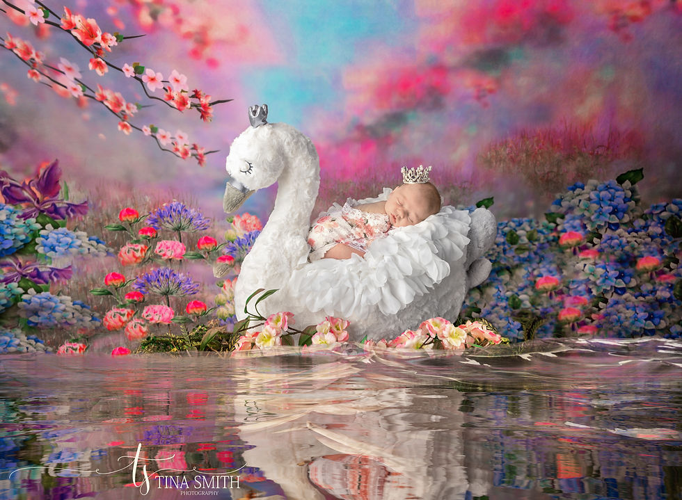 santa rosa beach photographer 30a newborn