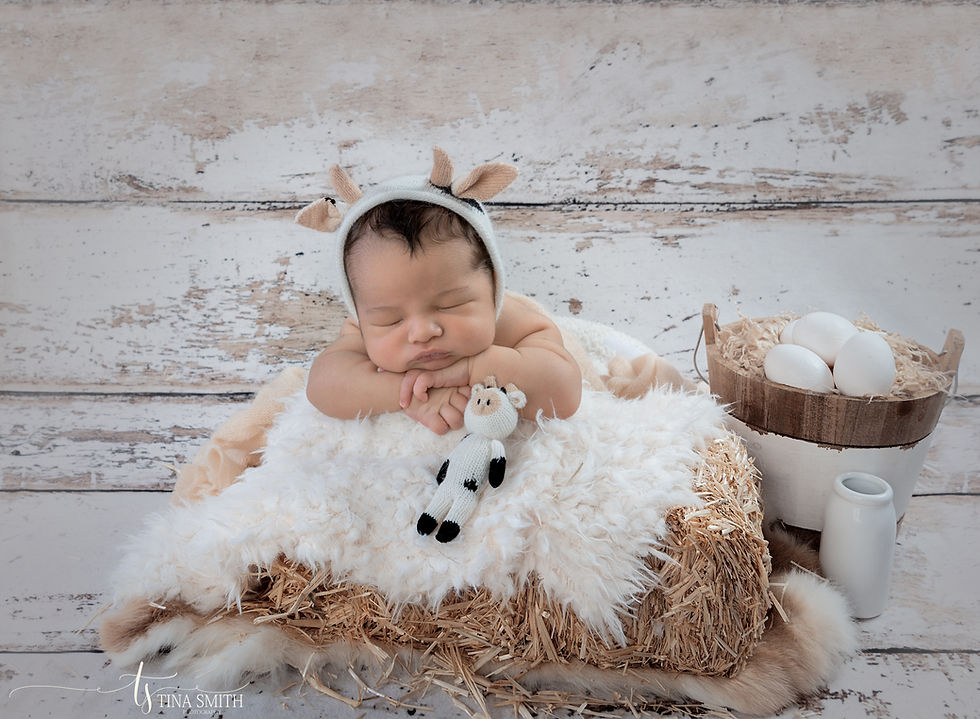 crestview newborn photographer