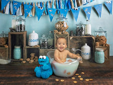 Cookie Monster Baby Bathtub Portrait Session Near Crestview Florida