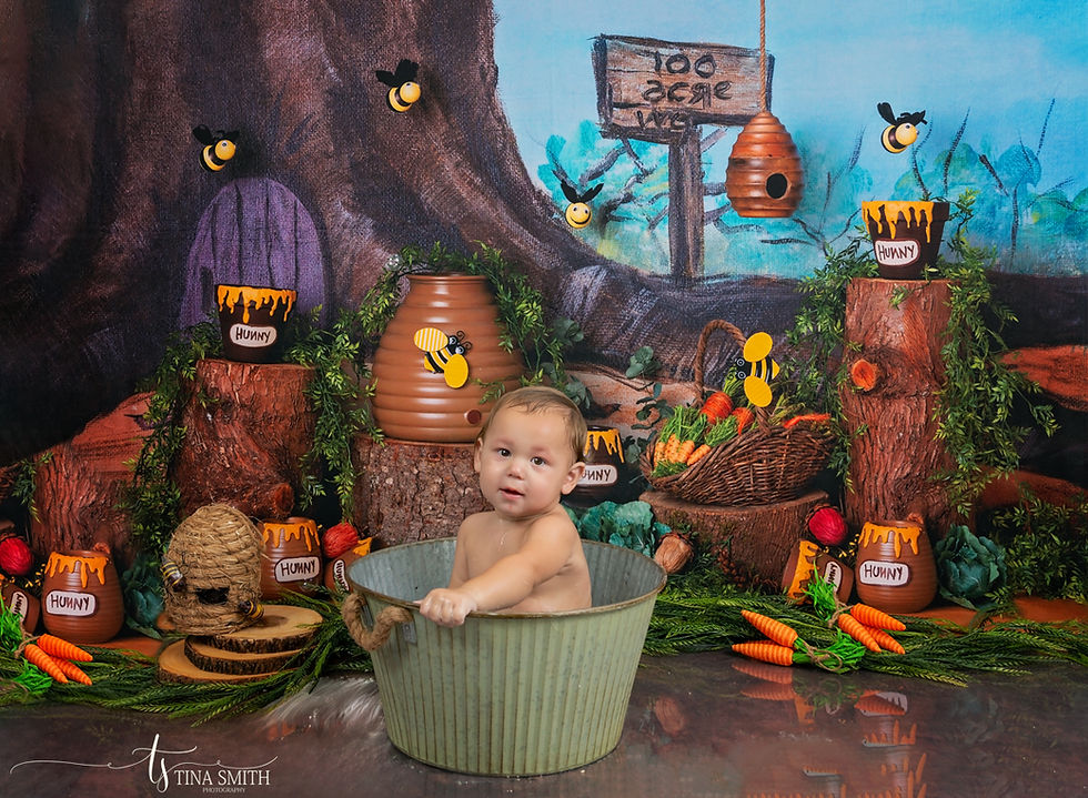 Defuniak Springs Photography 1 year bath tub portrait