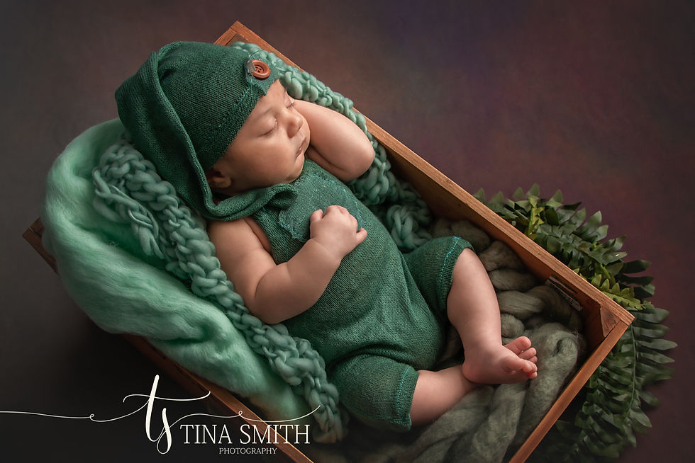niceville newborn photographer