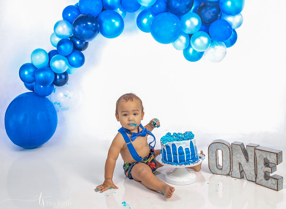 1 year Photography Defuniak Springs photographer boy cake smash