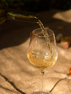 Copy of MayerPostTemplates (2).png