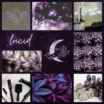Copy of LucidHairDesign.jpg