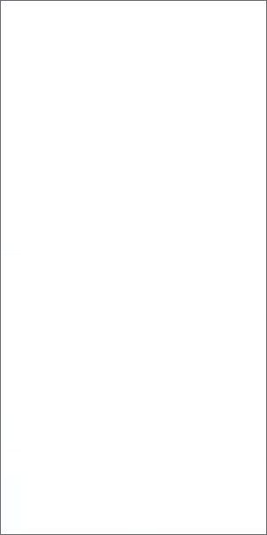 IT_Ad_300x600.gif