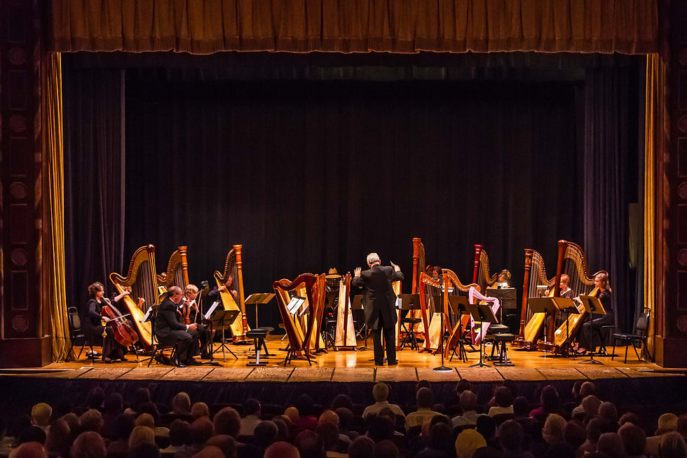 Group Harp.JPG