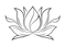 Reiki near Winnipeg, Energy Healing near Winnipeg, Lotus