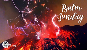 PSALM SUNDAY.png