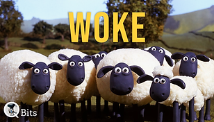 Woke-logo.png