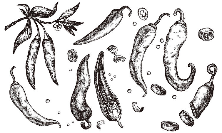 Rawsome drawing.jpg