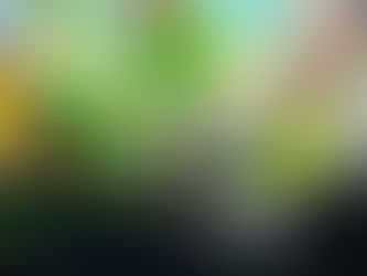 Cuidados para mantener tus flores radiantes