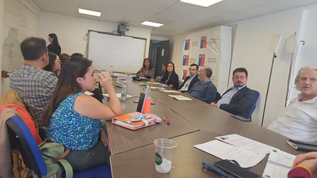 Mesa Regional de medicinas complementarias y practicas de bienestar en salud