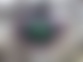 Ruby in Zoisite Necklace