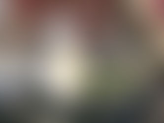 Honey Lace Calcite Necklace