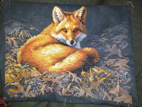 Sunbathing Fox
