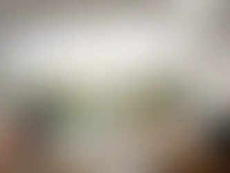 Motorized Blinds for Smart Homes