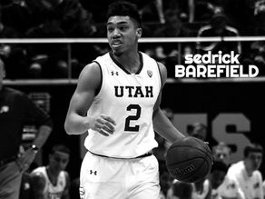 WHAT IS A SEDRICK BAREFIELD AND WHY SHOULD YOU BE EXCITED?