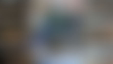 THE SECRET LIFE OF PETS 2 | SNOWBALL (SUPERHERO SUIT) #765