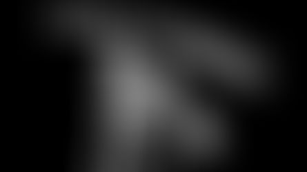 U.S. NCAA STATS | SEAN CHAMBERS 