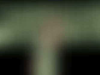 THOUGHTS | PUREBLENDS BUYS OUT NORTHPORT?