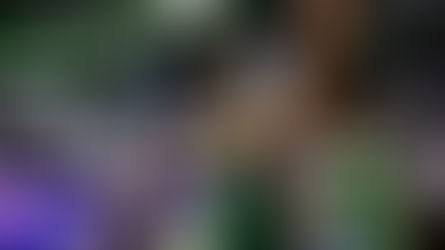 THE NEXT PROJECT | 2000S COLLEGE STATS 