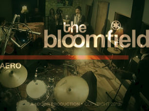 LISTENING TO | THE BLOOMFIELDS - BABAERO 