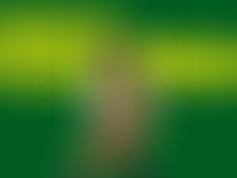 2025 MPBL SEASON STATS | PARANAQUE PATRIOTS 