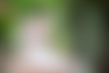 2部制Weddingってどんな感じ？