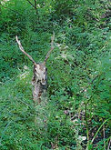IMG_0325_edited.jpg
