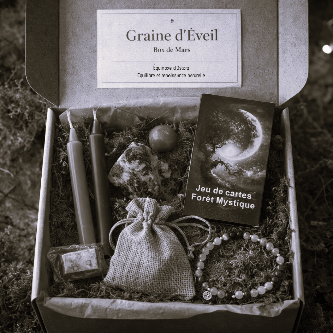 BOX mars 2026 - Graine d'éveil - OSTARA