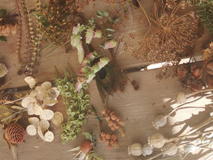 Gartenfloristik - meine Favoriten