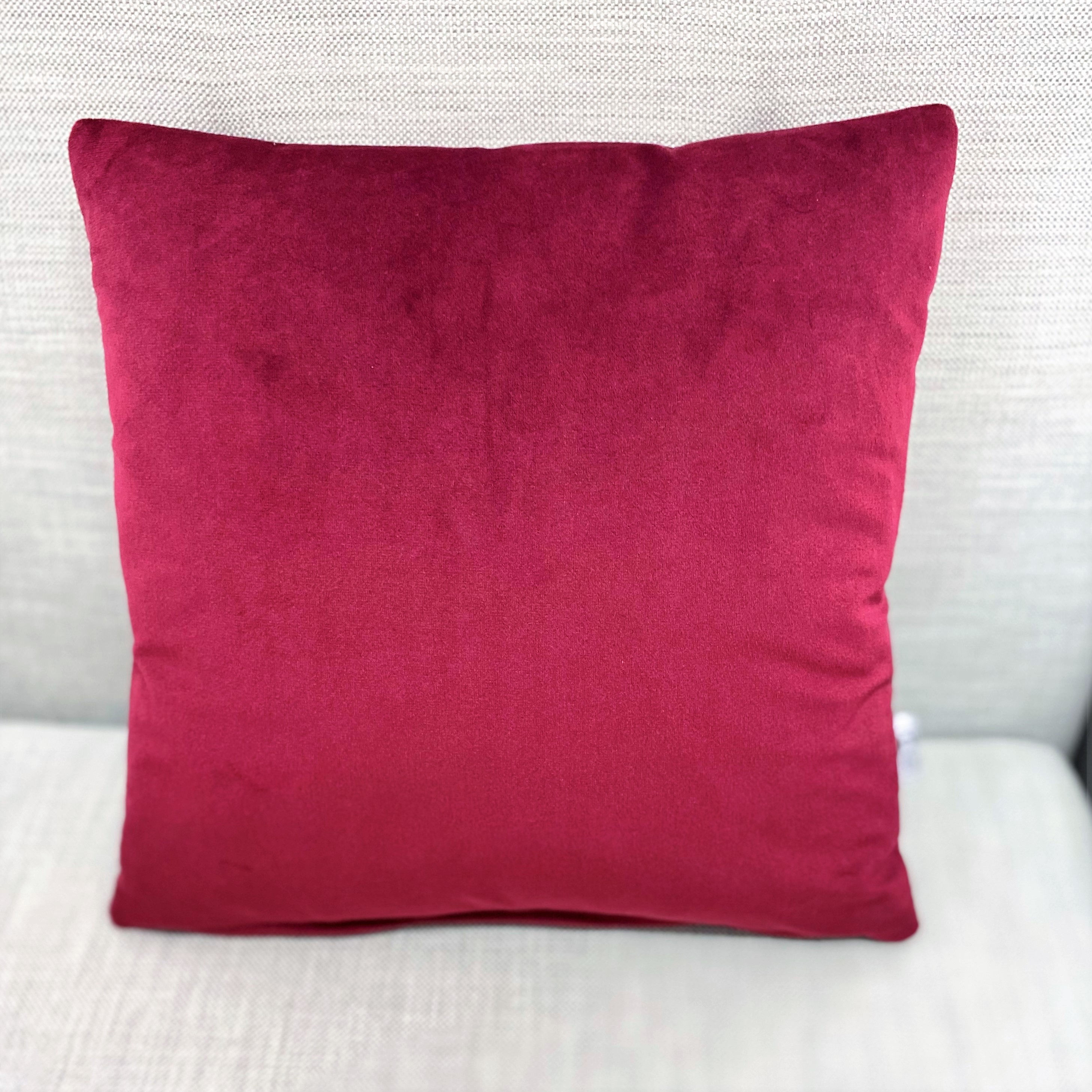Red velvet cushion