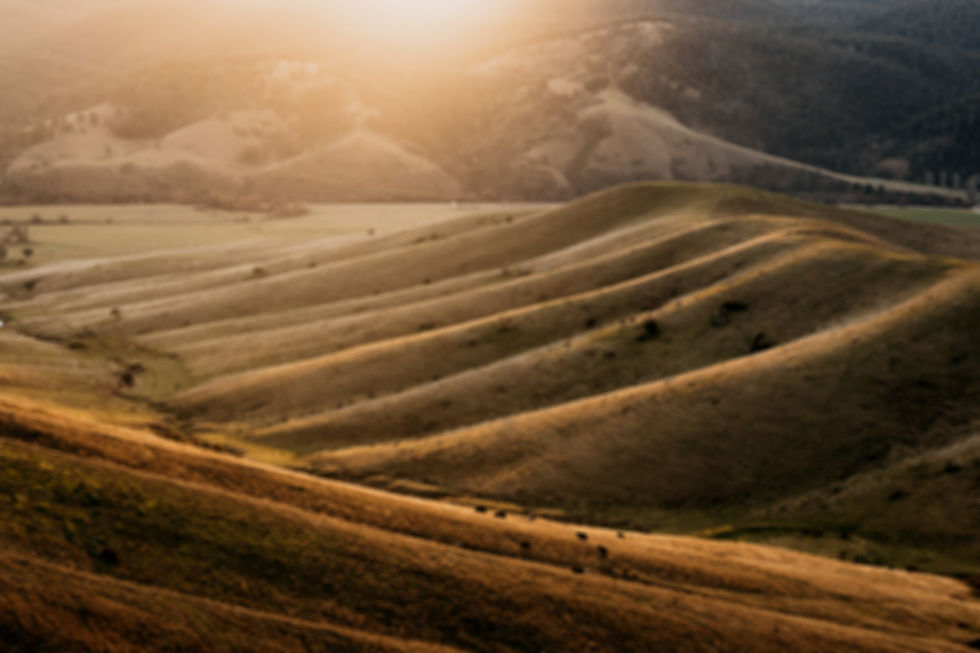 Farem photo_low-res-28_edited.jpg