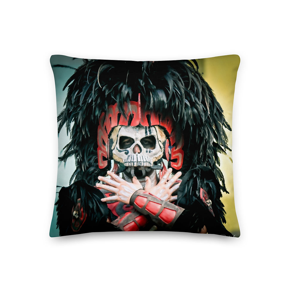 Thumbnail: Premium Pillow Cozumel Warrior