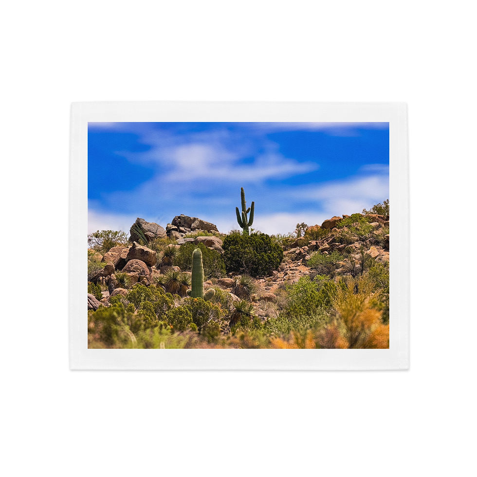 Thumbnail: Arizona Desert Placemat Set