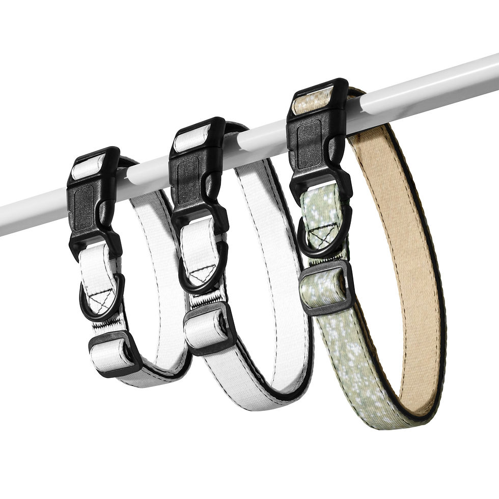 Thumbnail: Pet collar Caribbean Sea