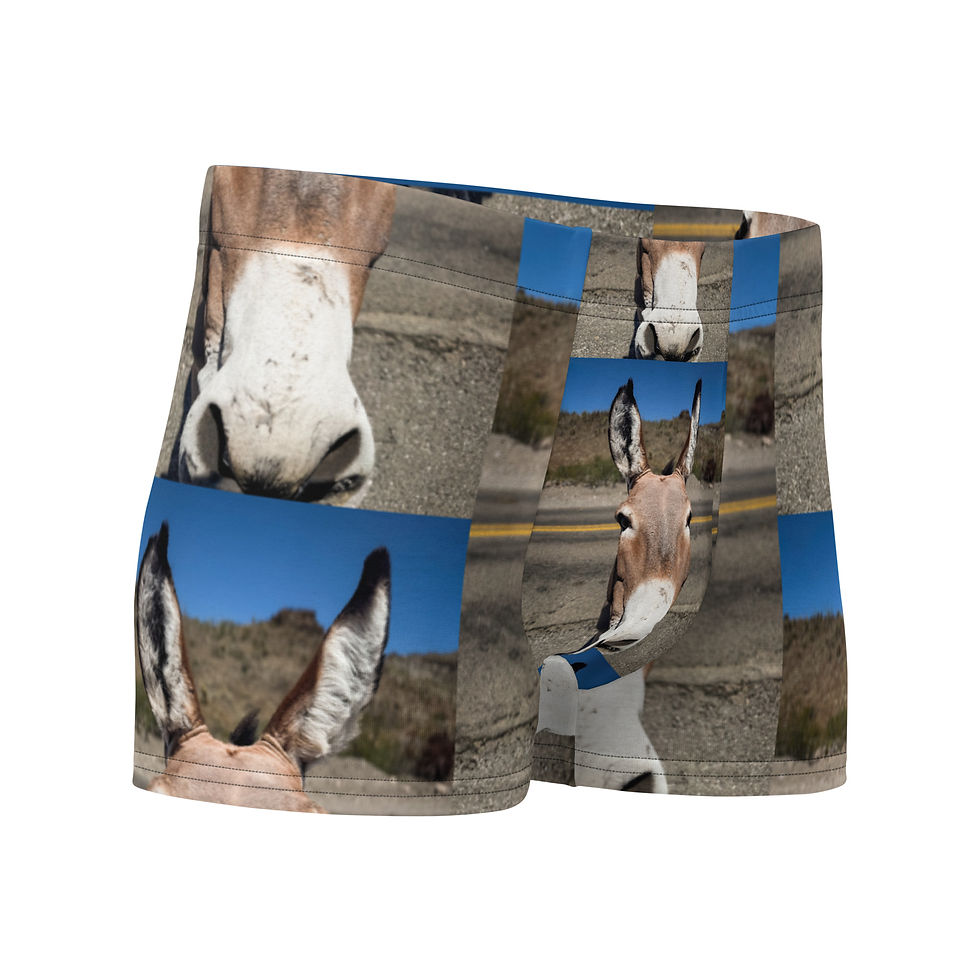 Thumbnail: Boxer Briefs Donkey