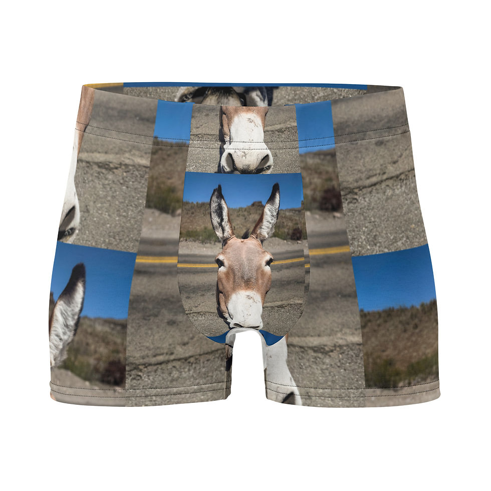 Thumbnail: Boxer Briefs Donkey