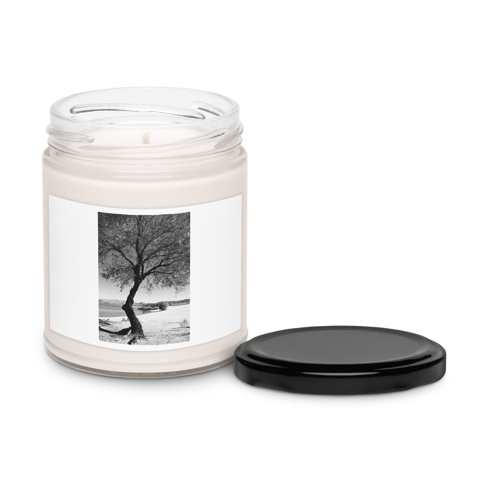 Scented soy candle a B&W tree at the Colorado River