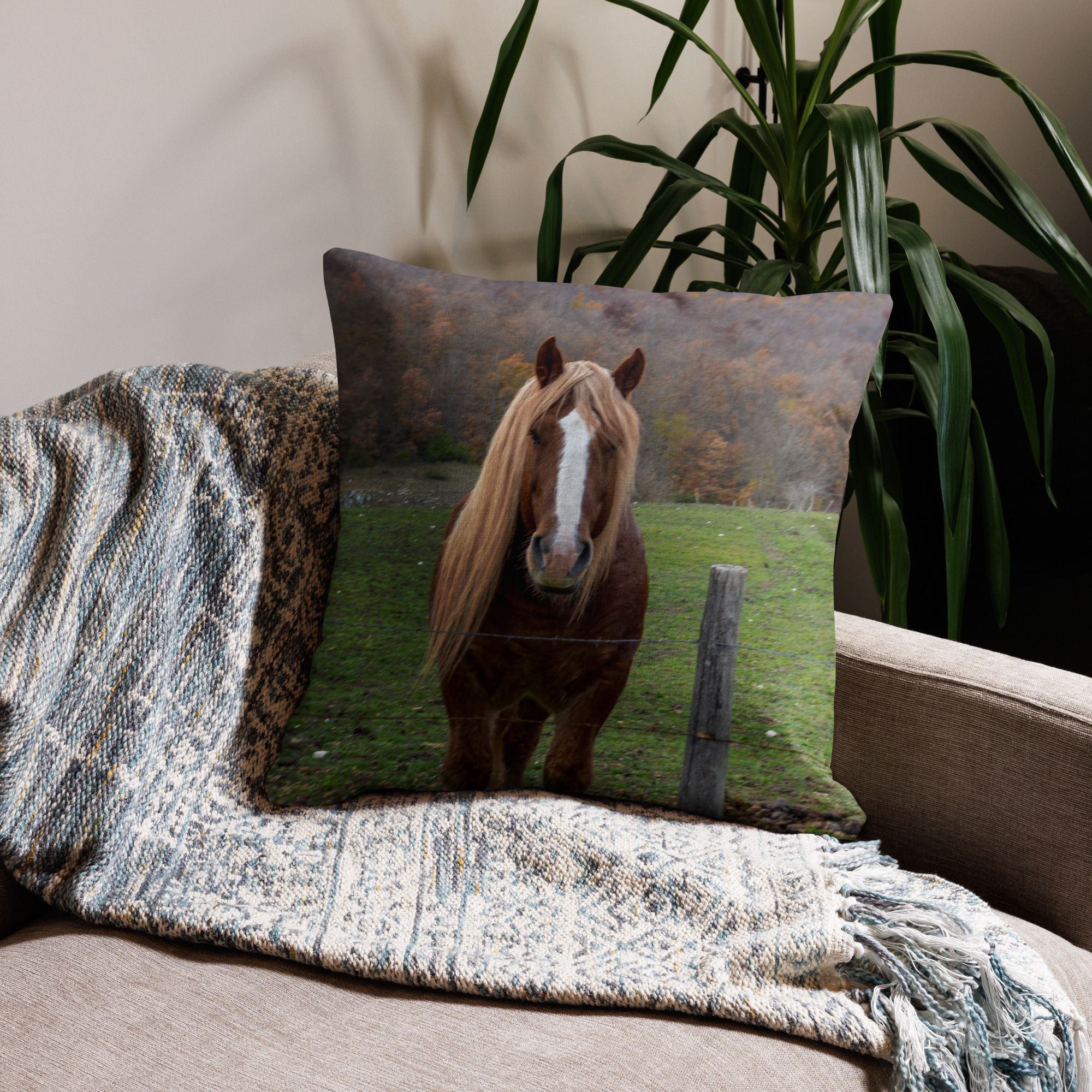 Beautiful Horse in Umbria Italy Premium Pillow