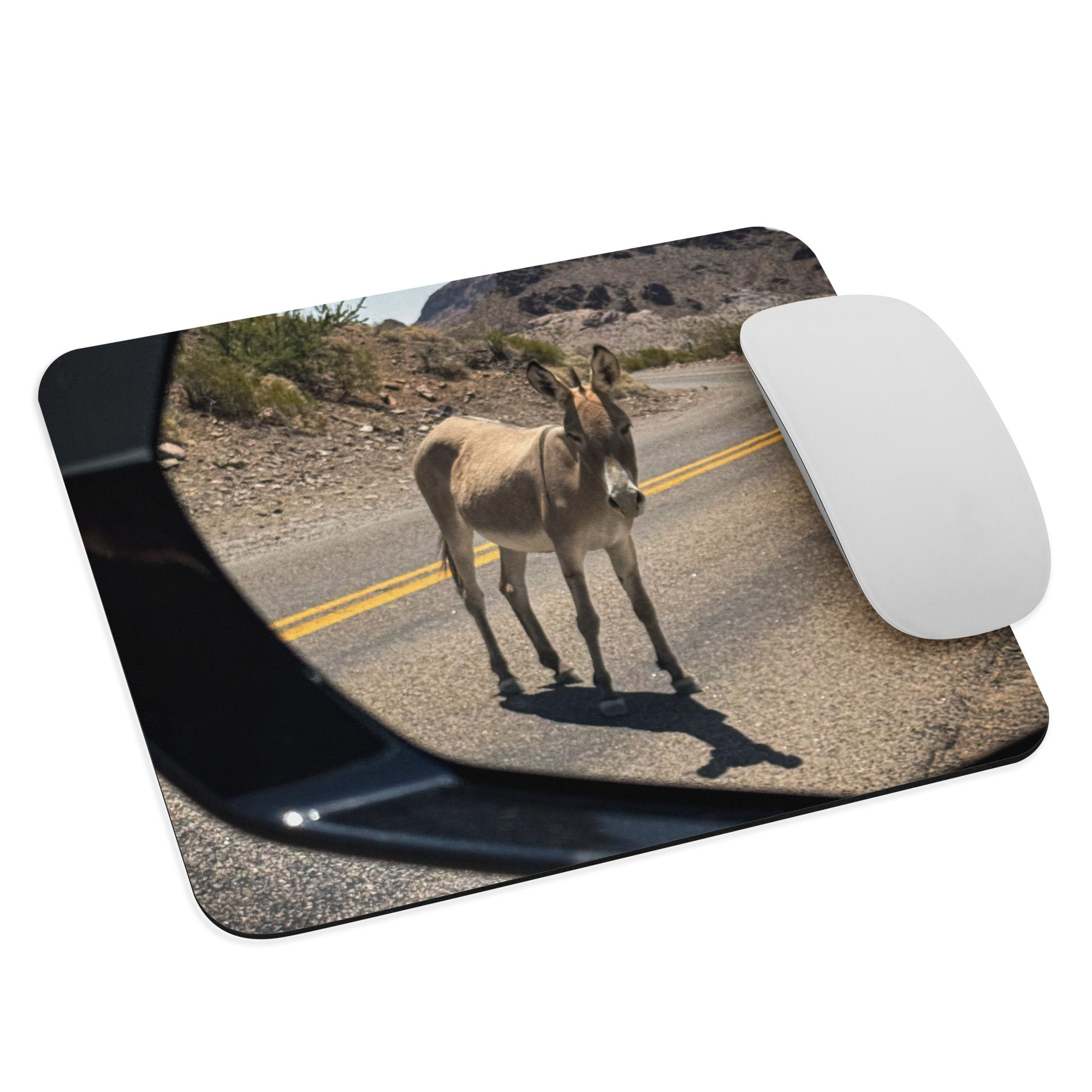 Mouse pad Donkey in my mirror