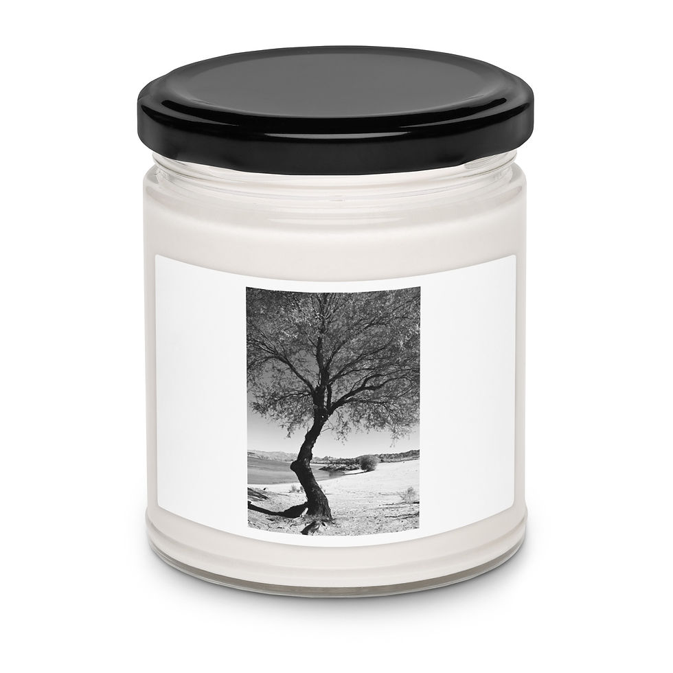 Thumbnail: Scented soy candle a B&W tree at the Colorado River
